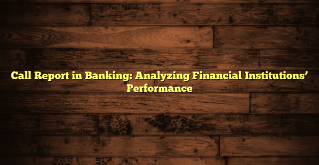 Call Report in Banking: Analyzing Financial Institutions’ Performance
